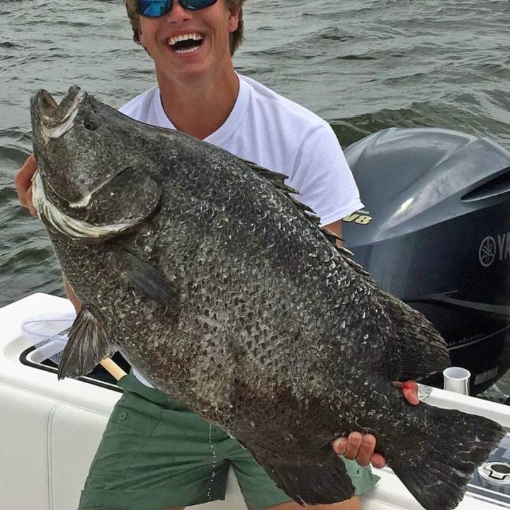 백미돔