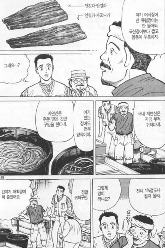 뱀장어