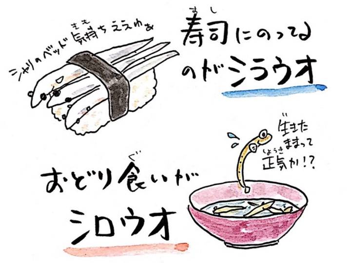 뱅어