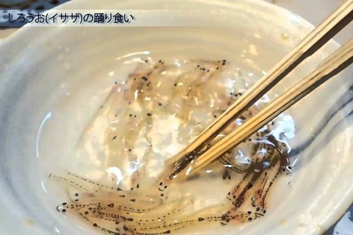 뱅어