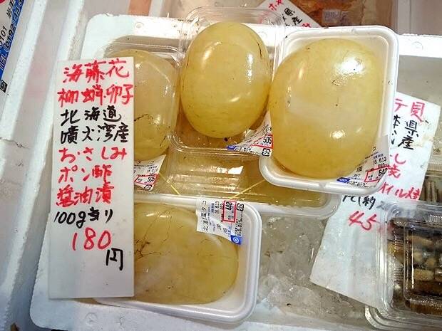 밤나무문어