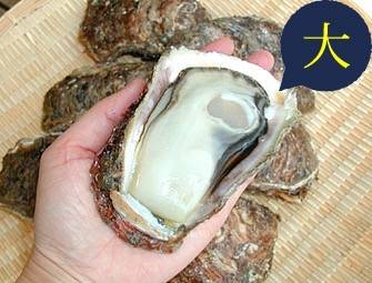 바위굴