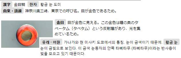 빛금눈돔
