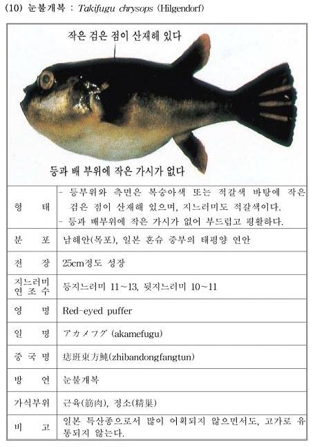복섬