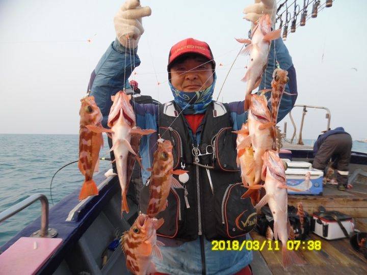 볼락