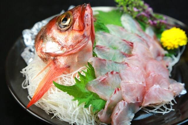 볼락