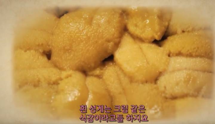 보라성게