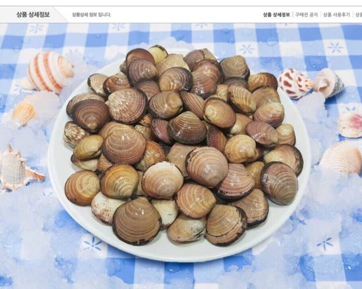 북방밤색무늬조개