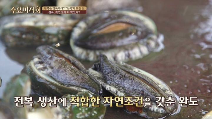 북방전복