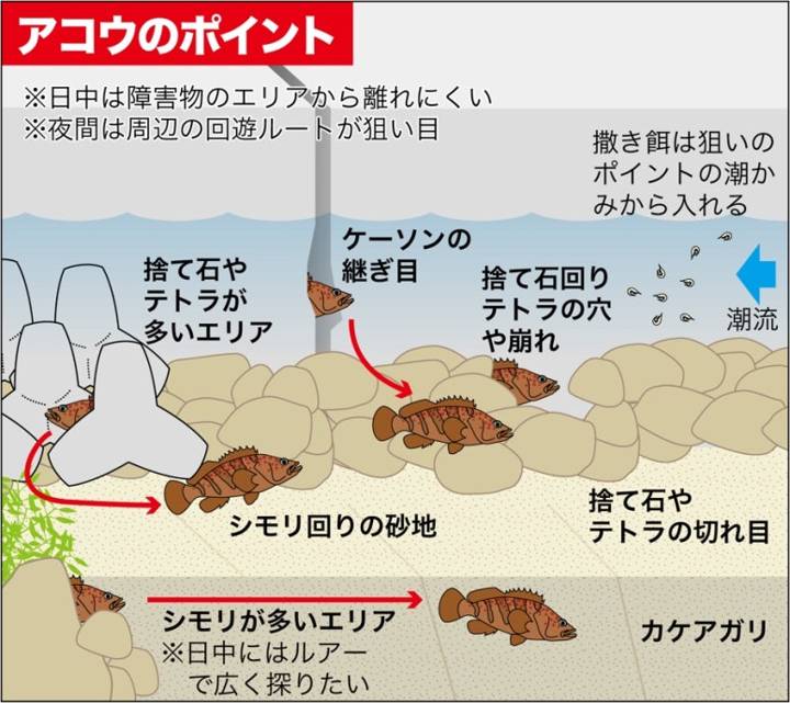 붉바리