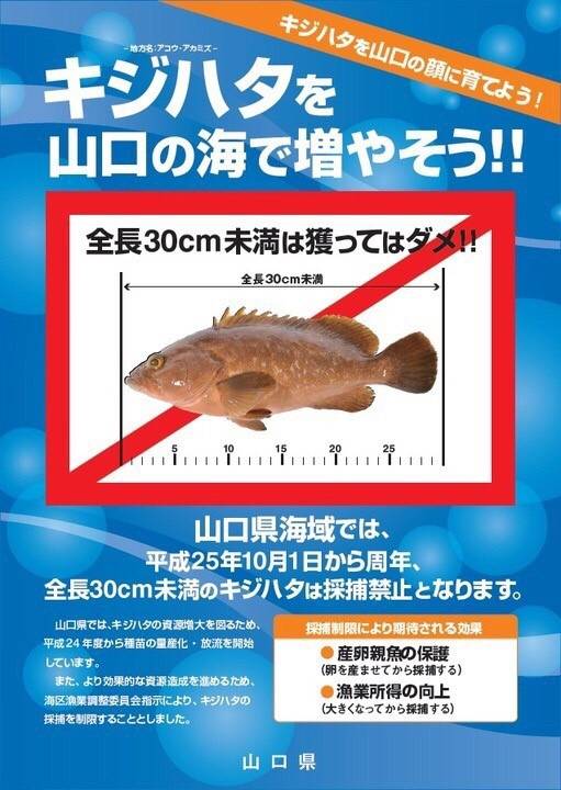 붉바리