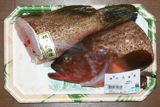 붉바리
