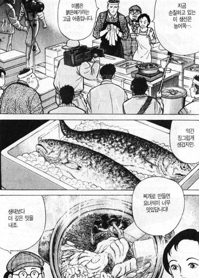 붉은메기