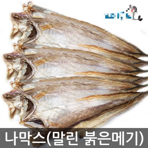 붉은메기