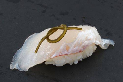 붉은메기