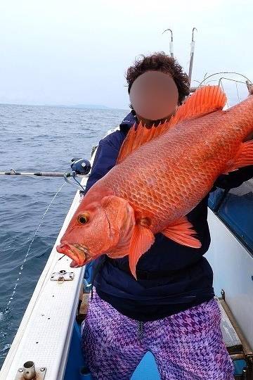 붉은퉁돔