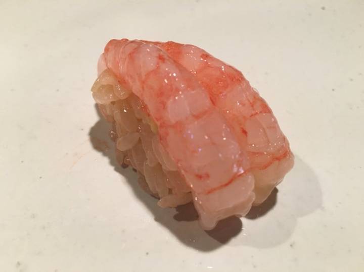 북쪽분홍새우