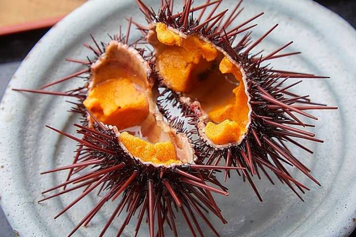 분홍성게