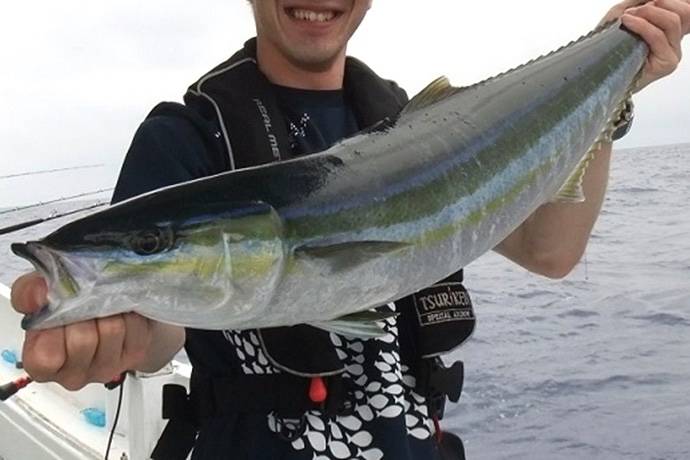 참치방어