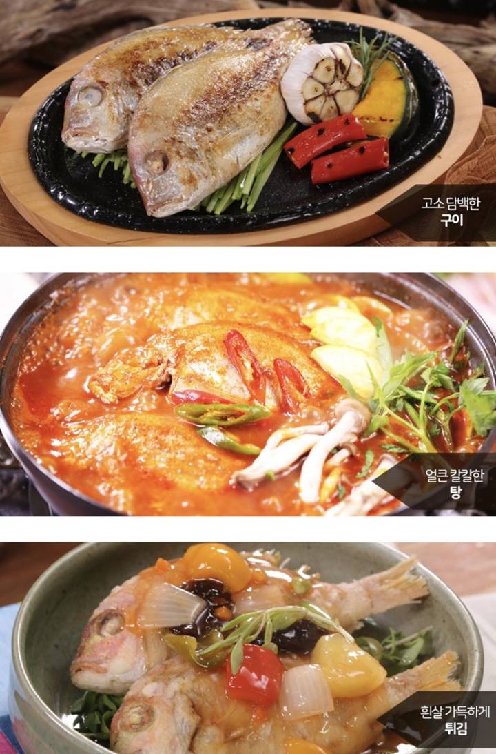참돔
