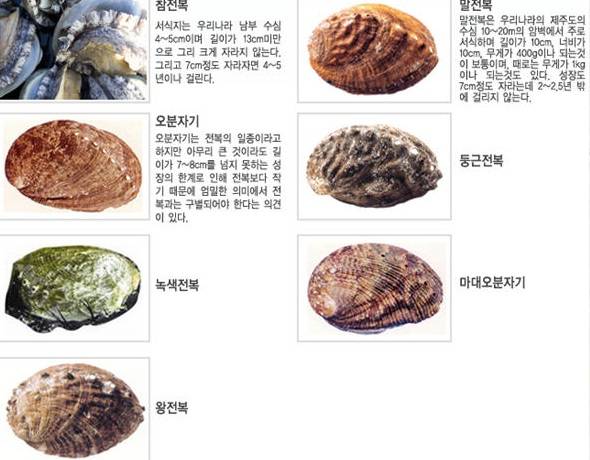 참전복