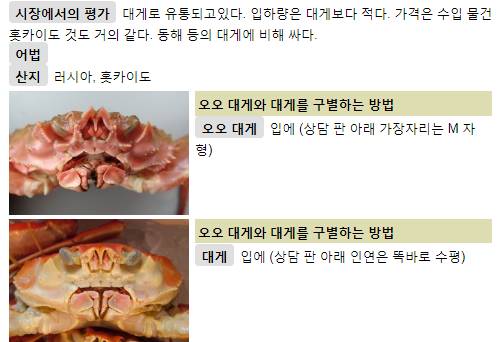 대게