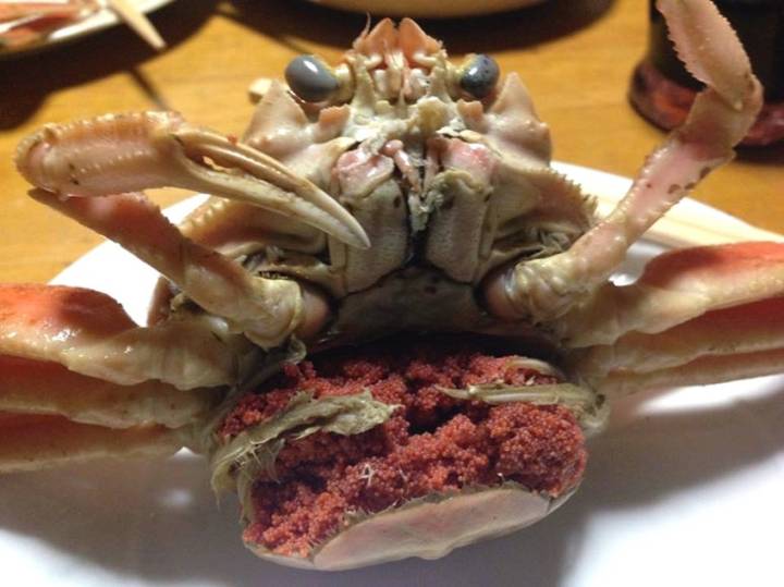 대게