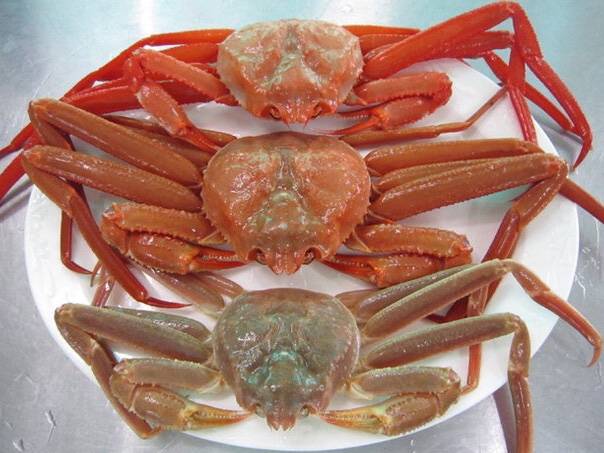 대게