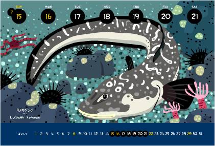 등가시치