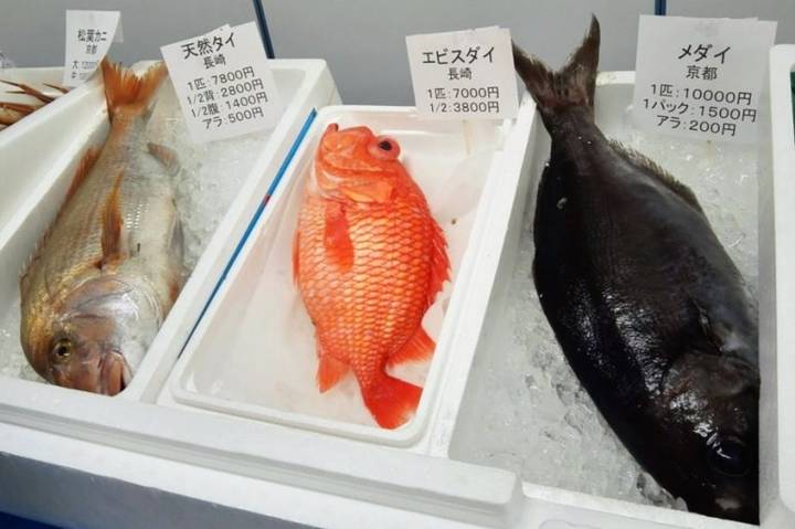 도화돔