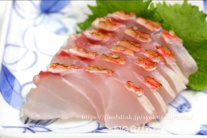 도화돔