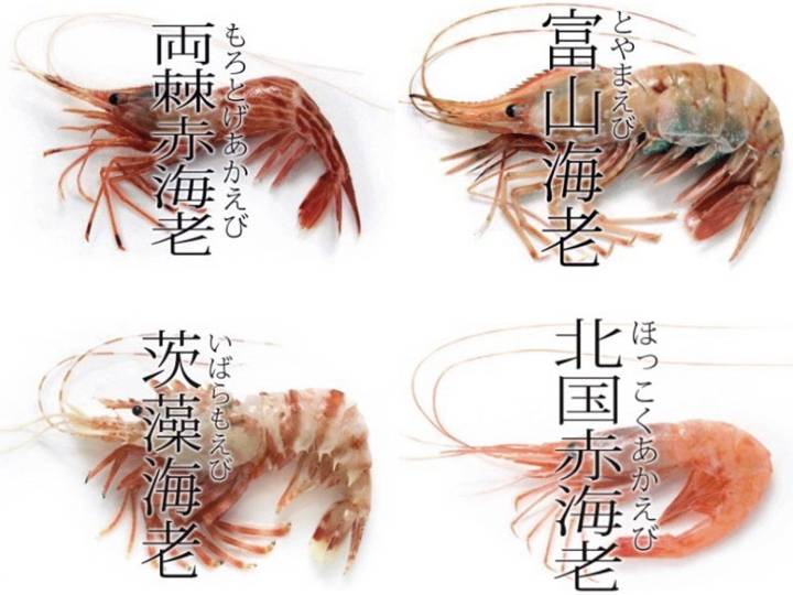 도화새우