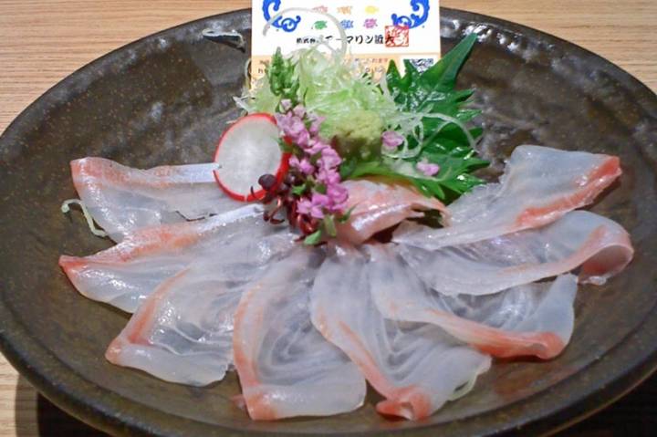 돌돔