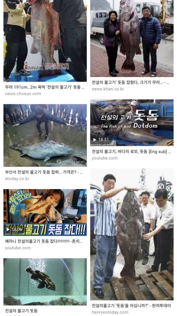 돗돔