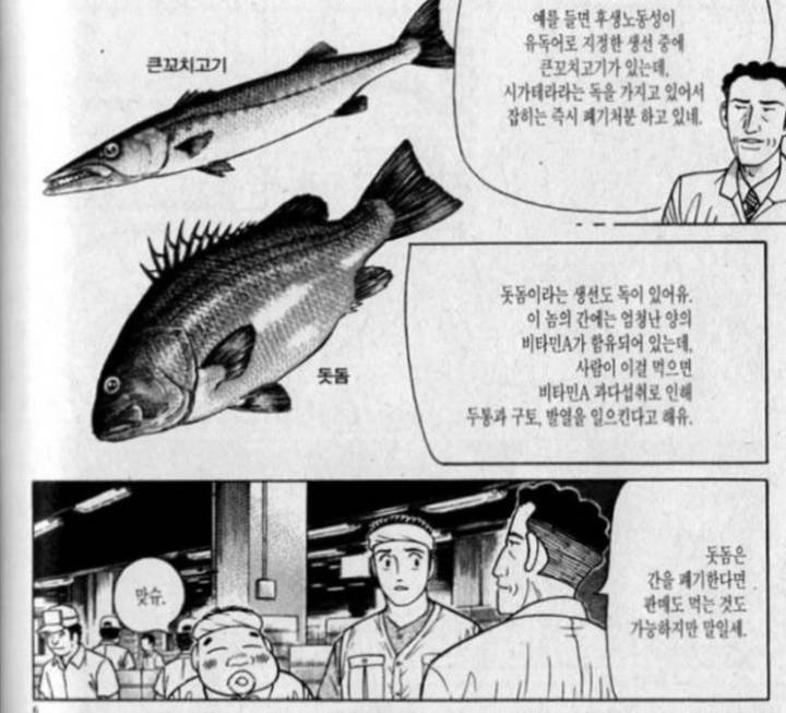 돗돔