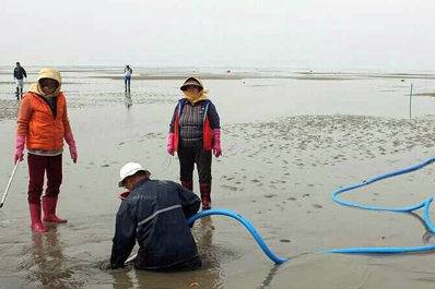 개불