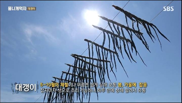 개소겡