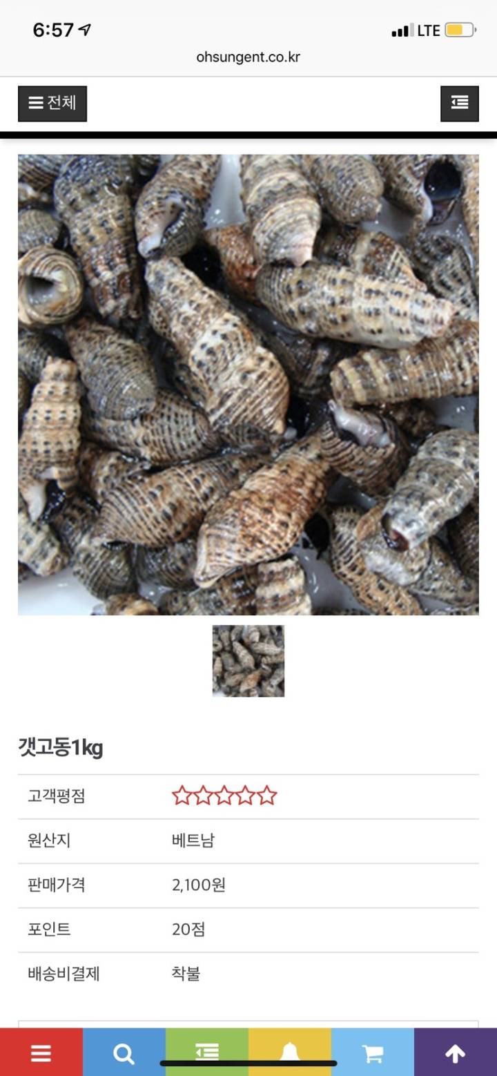 갯고둥