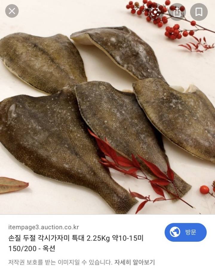 각시가자미