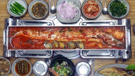 갈치