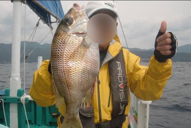 갈돔
