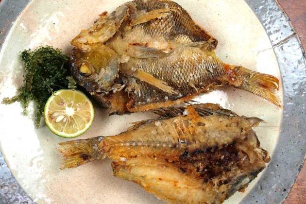 갈돔