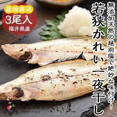 갈가자미
