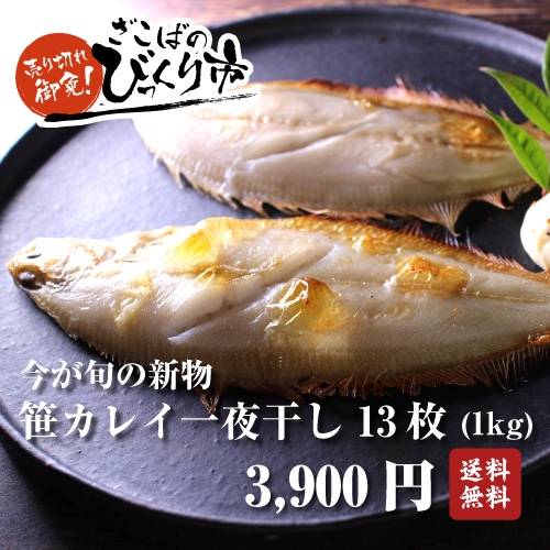갈가자미