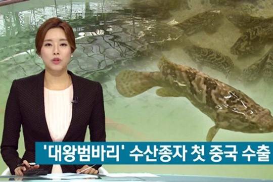 갈색둥근바리
