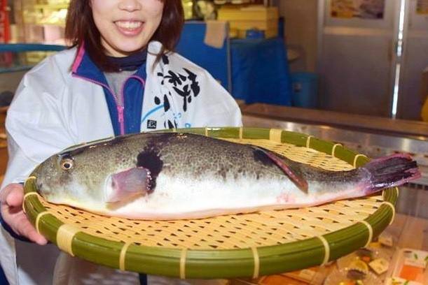 검복