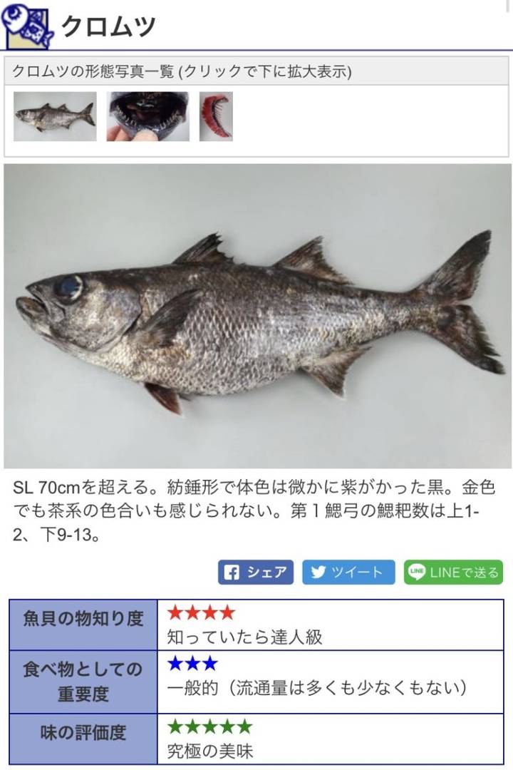 게르치