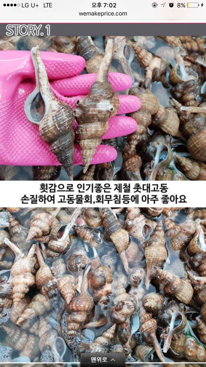 긴고둥