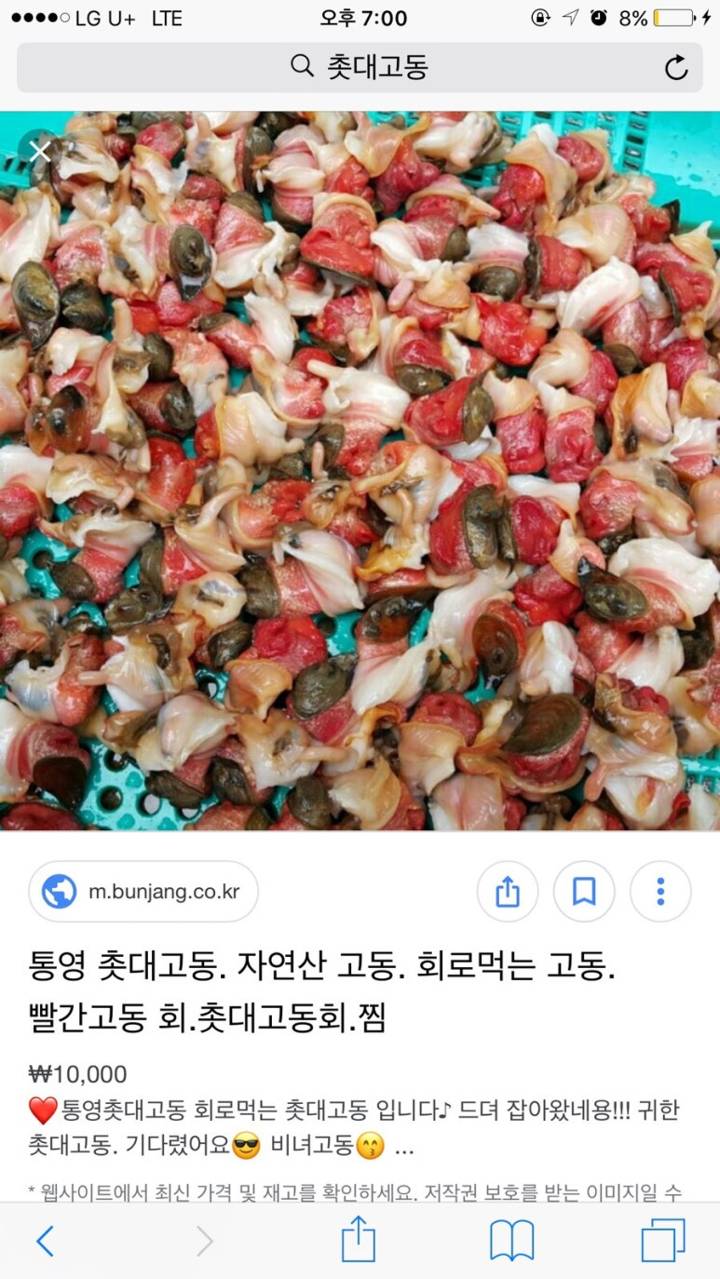 긴고둥