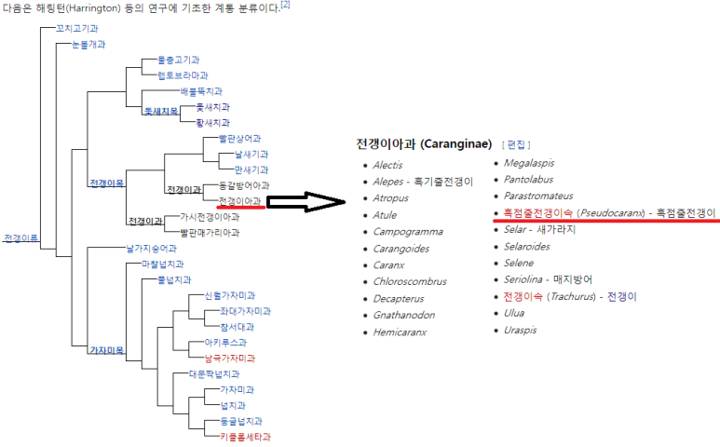 흑점줄전갱이